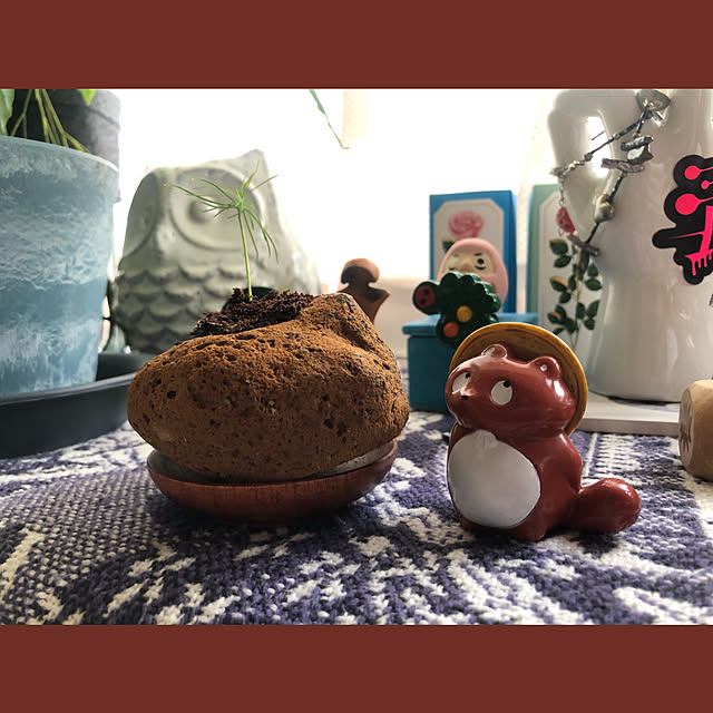 ynmjgfvさんの実例写真