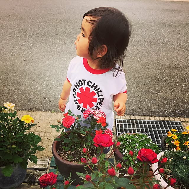 yuntantanさんの実例写真