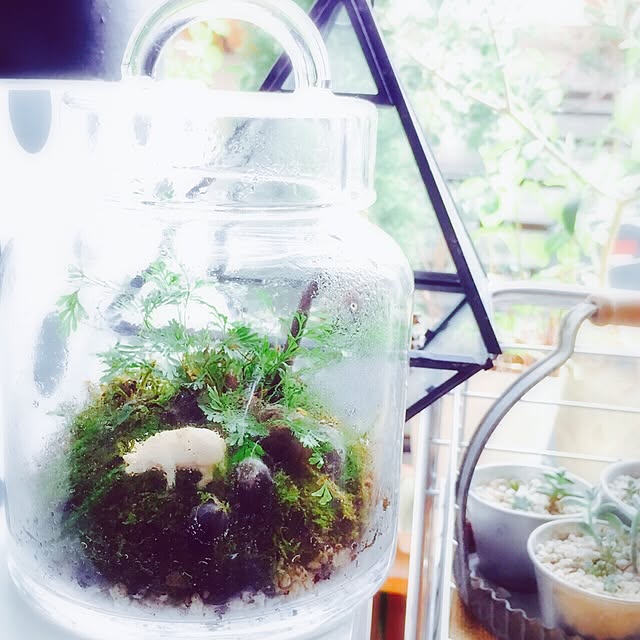 HannaGreenさんの実例写真