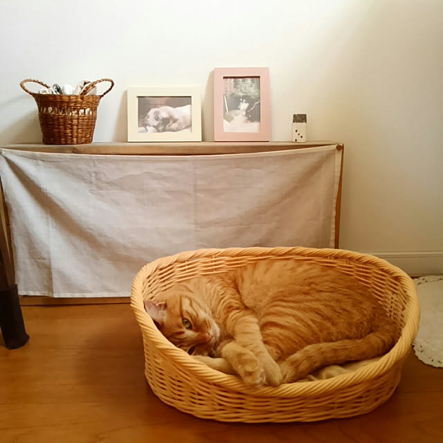 mayutan.さんの実例写真
