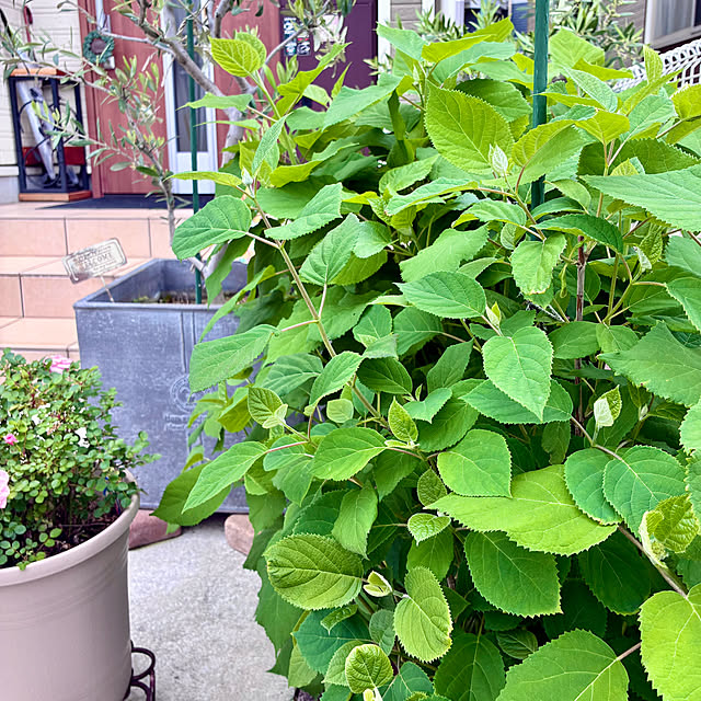 Junさんの実例写真