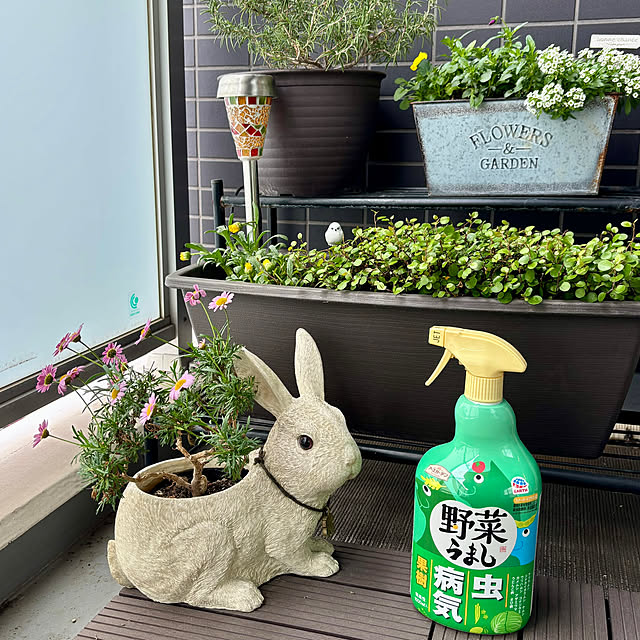 A.Iさんの部屋
