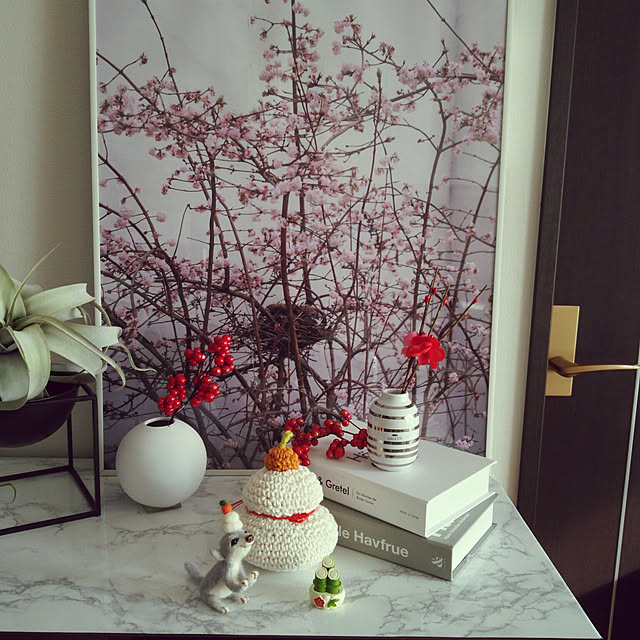 nao0219さんの実例写真