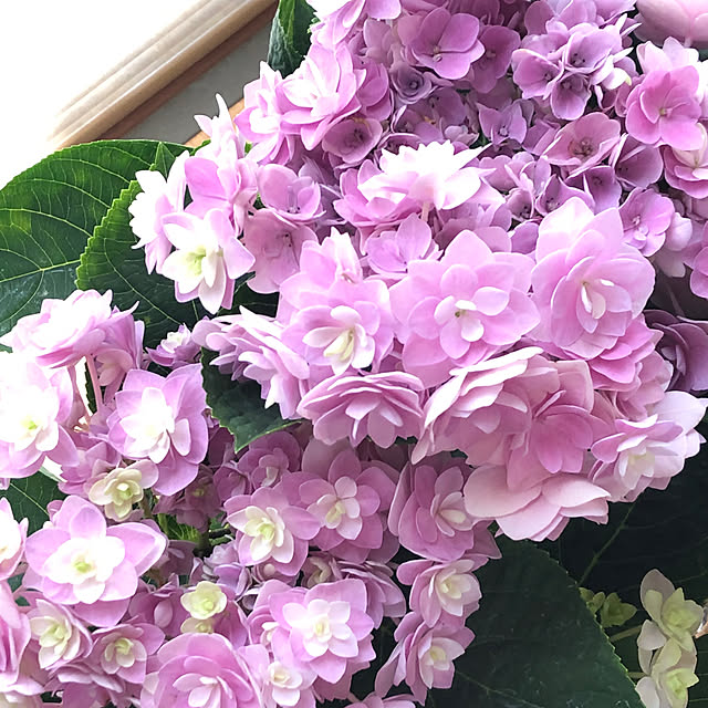 yukkoさんの部屋