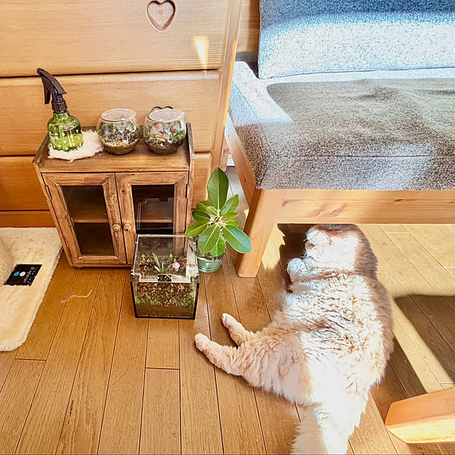 naokoさんの部屋