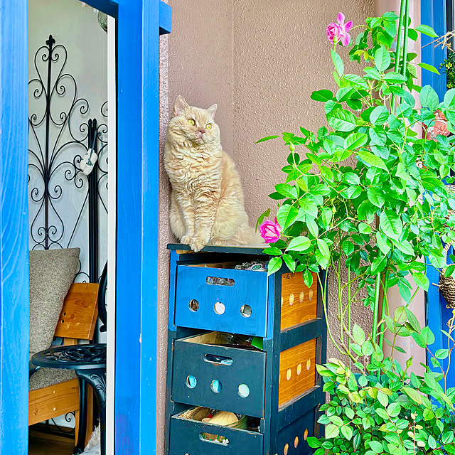 naokoさんの部屋