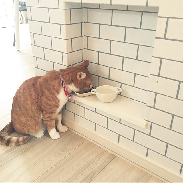 myuuさんの実例写真