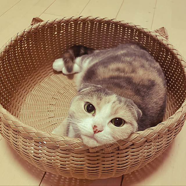 Mari-aさんの実例写真