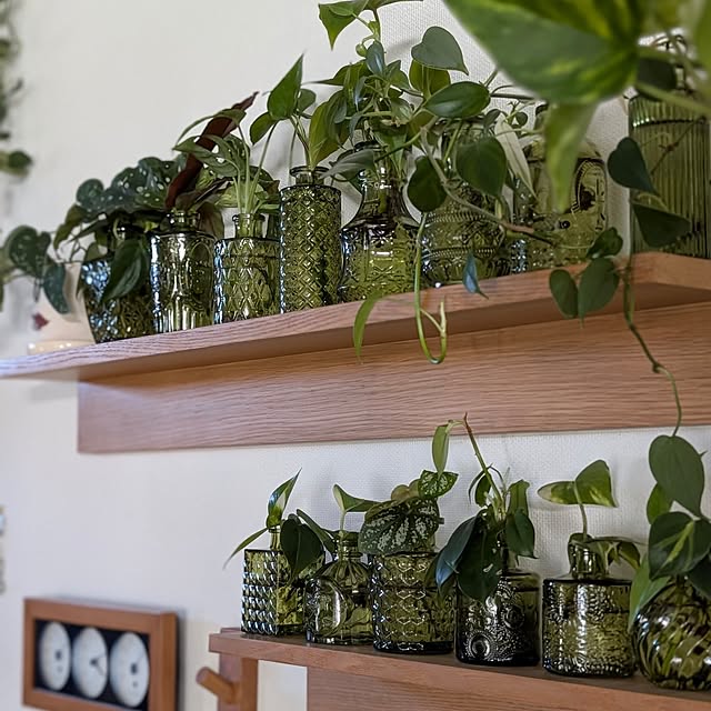 ayamameさんの部屋