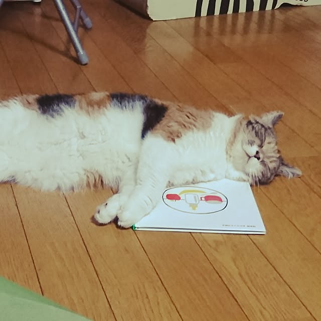 yukieさんの実例写真