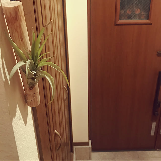 mu-minさんの実例写真
