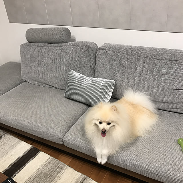 tamisamamaさんの実例写真