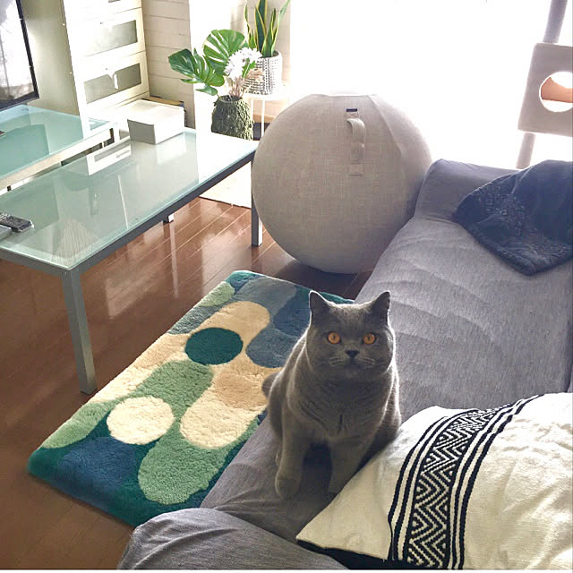 kittyさんの実例写真