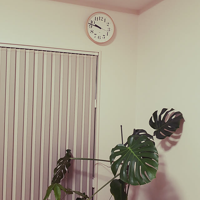 joninoriさんの実例写真