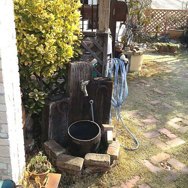 Peroさんの実例写真