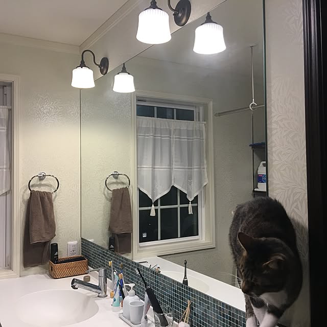 MARIさんの実例写真
