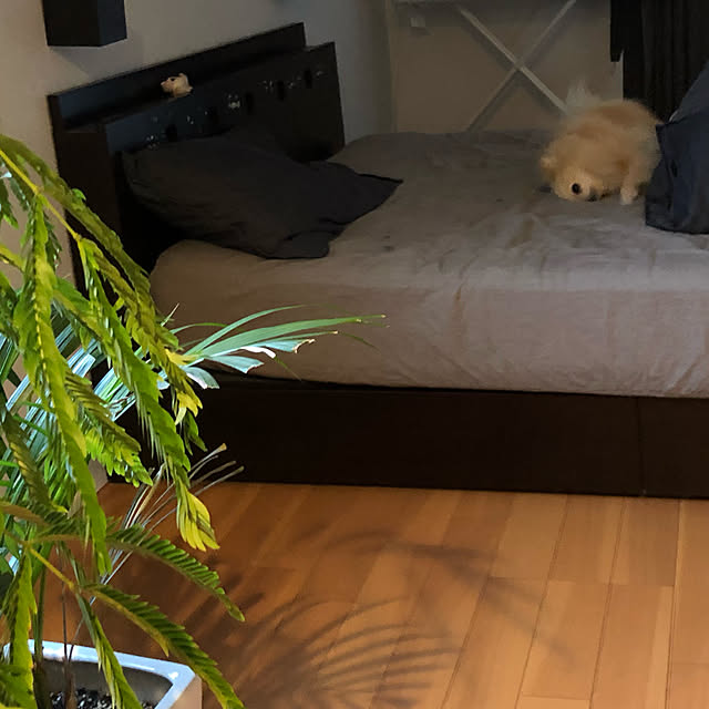 t.k.mさんの実例写真