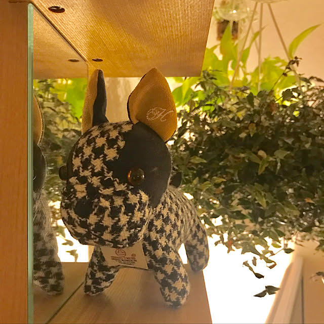 BUNさんの実例写真