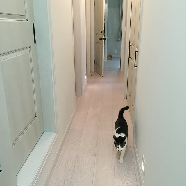yuchiさんの実例写真