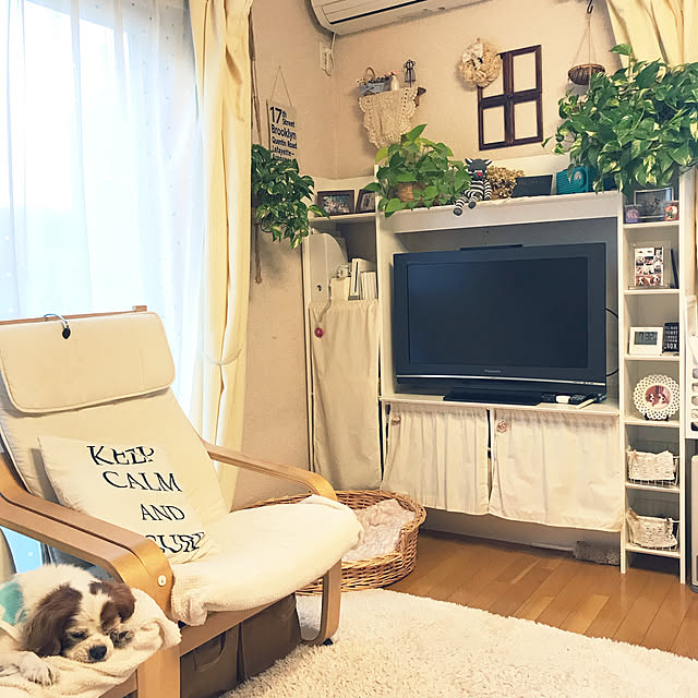 canmilmamaさんの実例写真