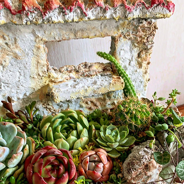 0103_eriさんの実例写真