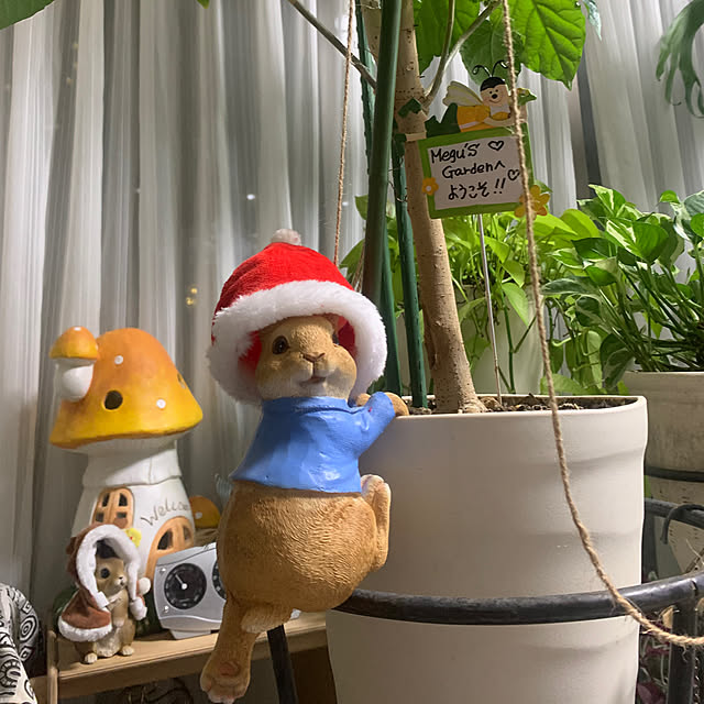 Aqettyさんの部屋