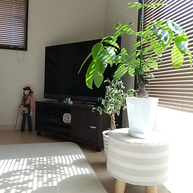 meiさんの実例写真