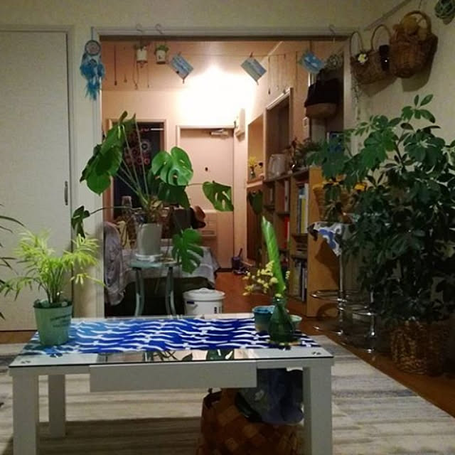 umiさんの実例写真