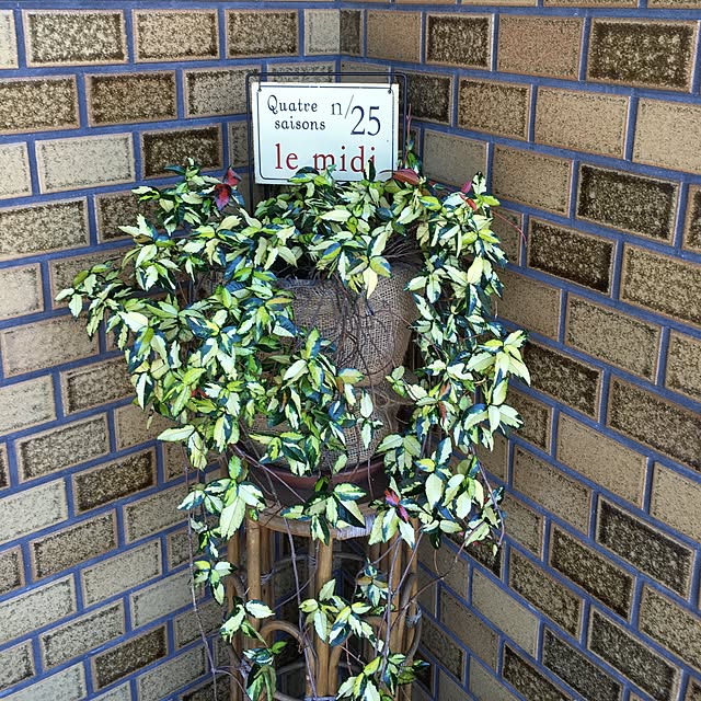 akekuroankoさんの実例写真