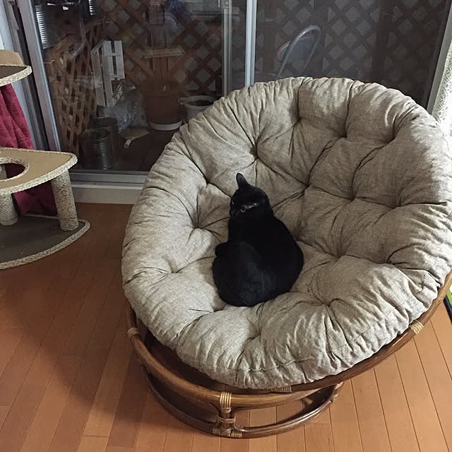 oxmaixoさんの実例写真