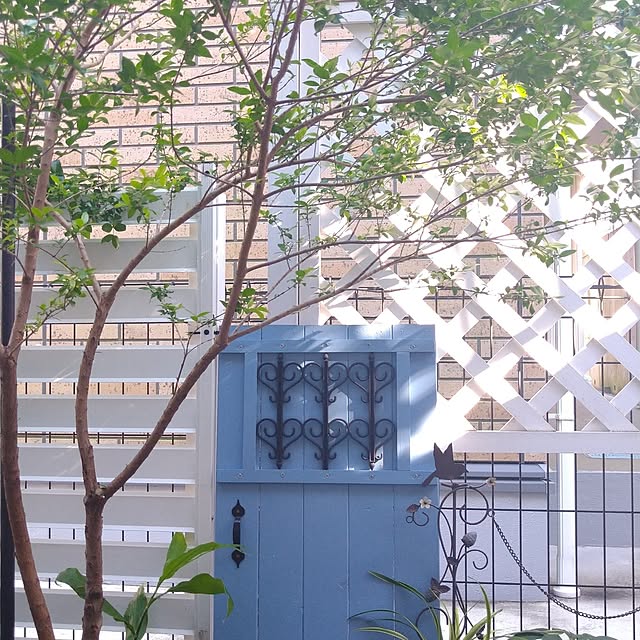kana_ciiさんの部屋