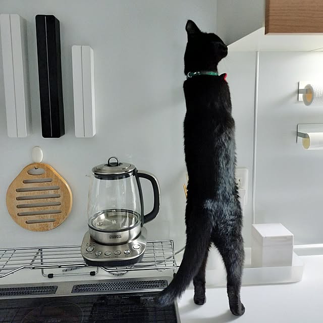 sakuraさんの部屋