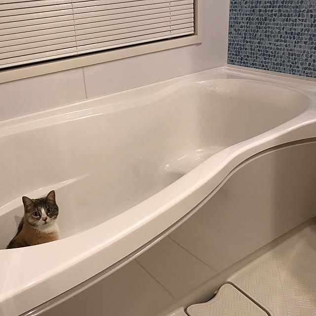 sakurasakuさんの実例写真