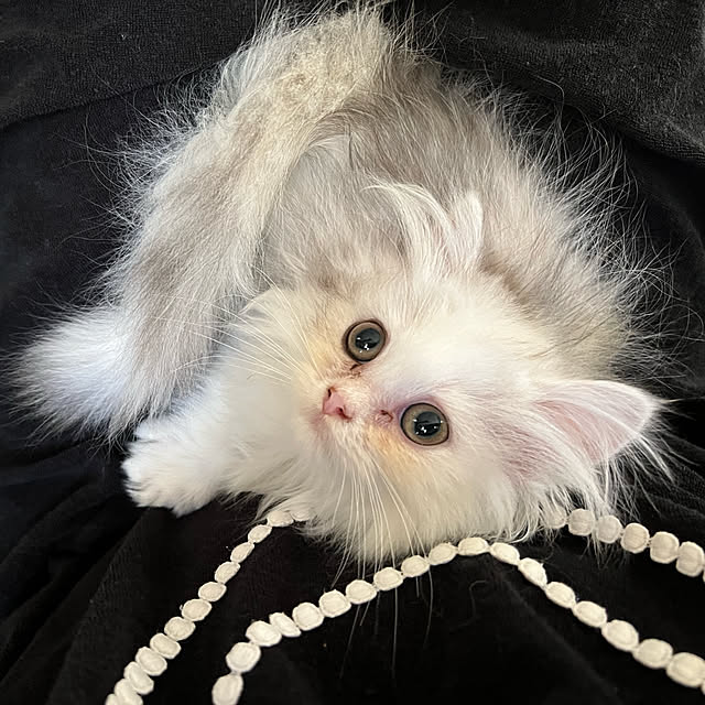 AYUKOさんの実例写真