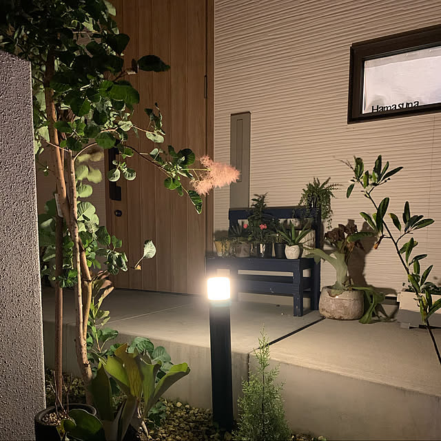 Shiguさんの実例写真