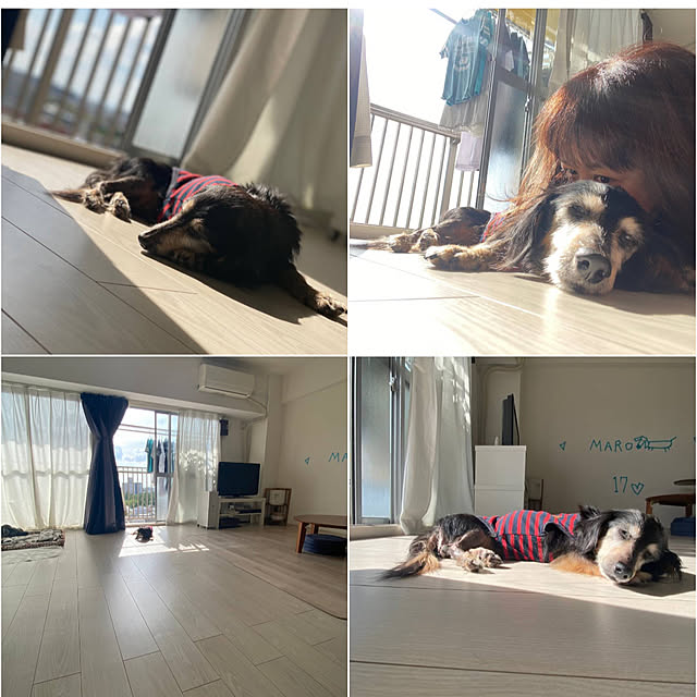 ohanaさんの実例写真