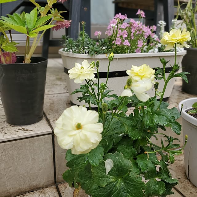 MARIE.color.interiorさんの部屋