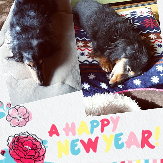 yukikoさんの実例写真