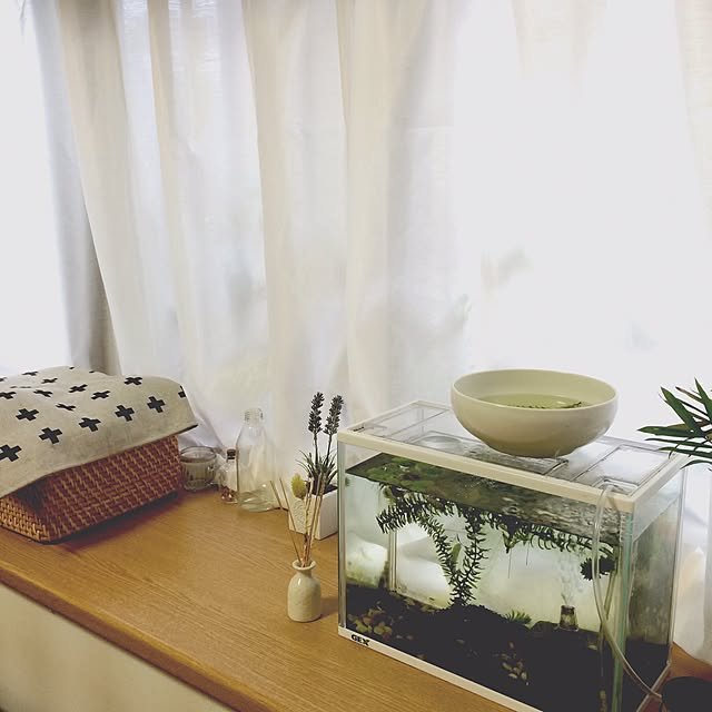 rieさんの実例写真