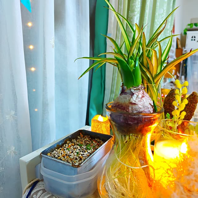 mariaさんの実例写真