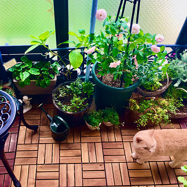 naokoさんの部屋