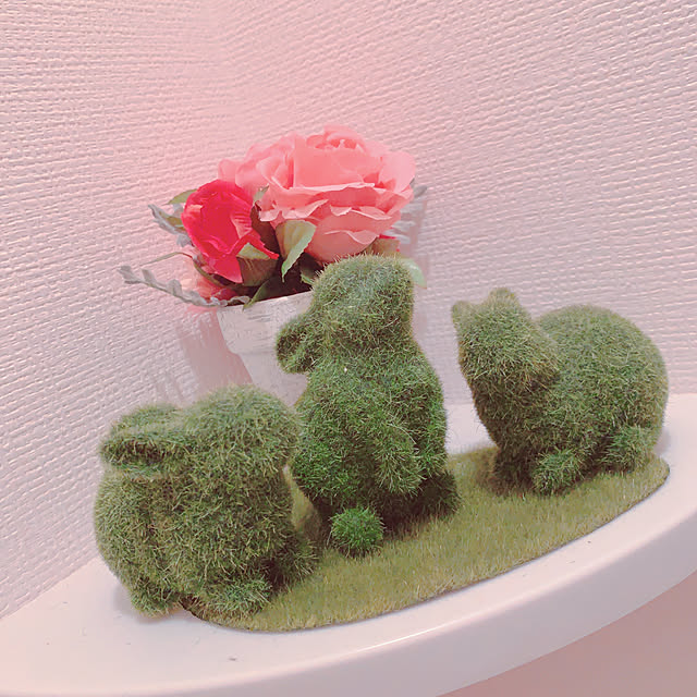 Rionさんの実例写真