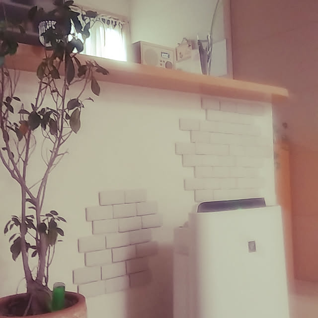 myprinceryuさんの実例写真