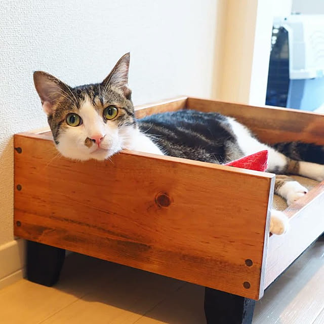maru_hiro709さんの実例写真