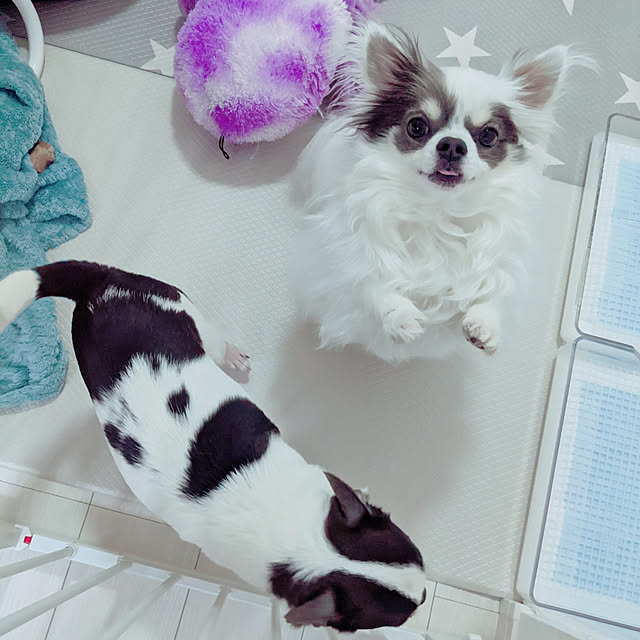 bjhorusさんの実例写真