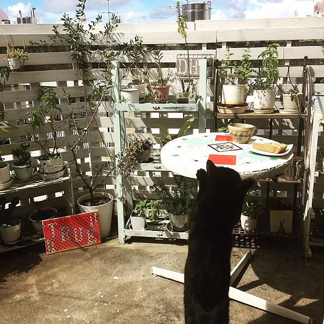 kimkim221さんの実例写真