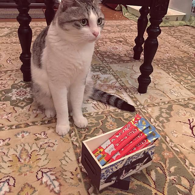 emmyyさんの実例写真