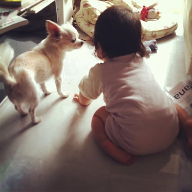 micoさんの実例写真