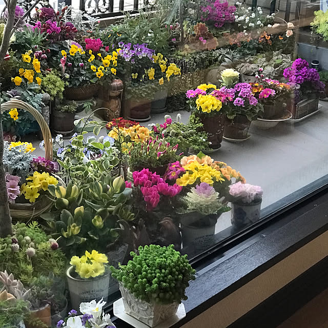 fuyiqian1026さんの実例写真