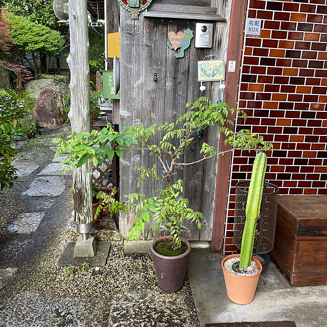 shin0719さんの実例写真
